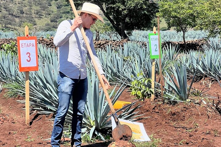 Classic Tequila Tour and CANTARITOS EL GÜERO