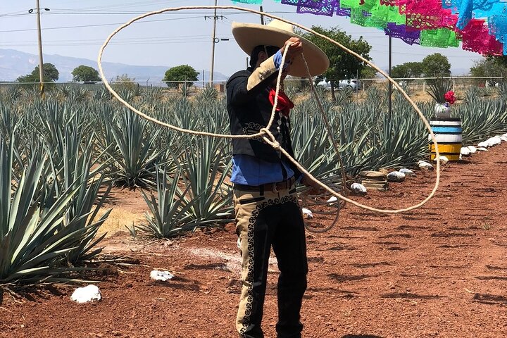 Classic Tequila Tour and CANTARITOS EL GÜERO