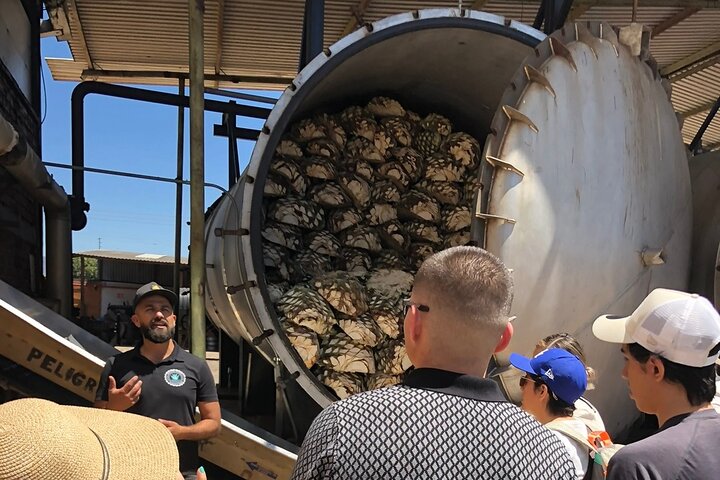 Classic Tequila Tour and CANTARITOS EL GÜERO