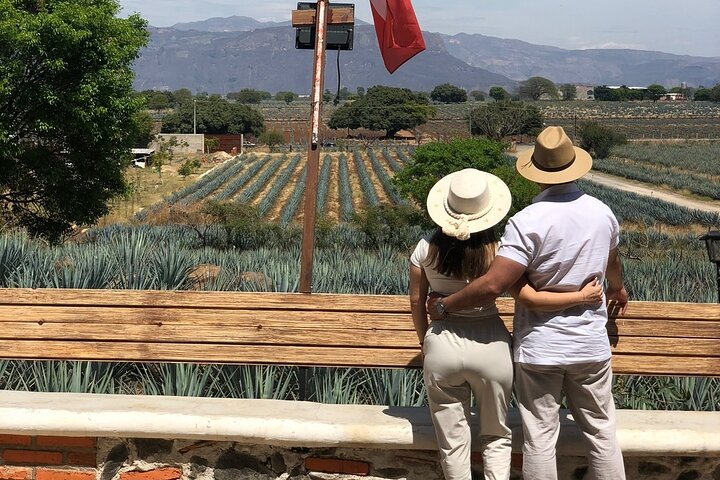 Classic Tequila Tour and CANTARITOS EL GÜERO