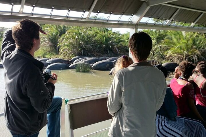 Shoreline Hippo and Crocodile Boat Cruises, iSimangaliso Wetland Park