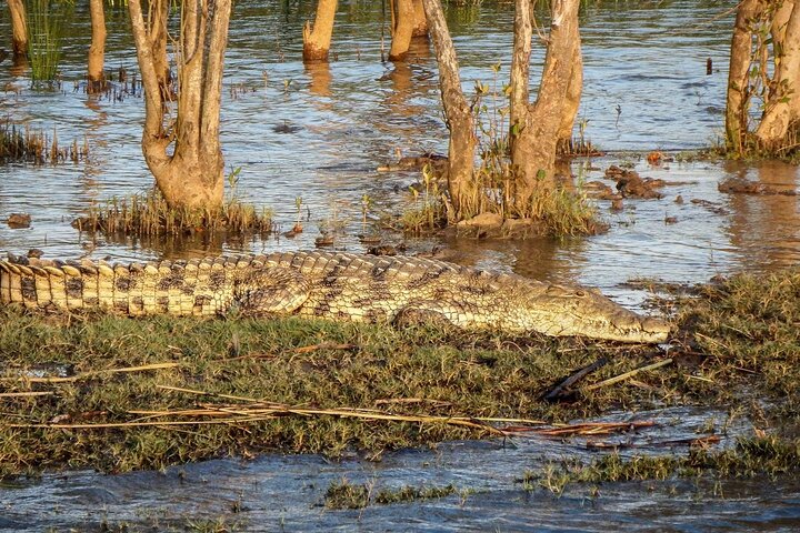 Shoreline Hippo and Crocodile Boat Cruises, iSimangaliso Wetland Park