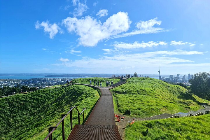 2025 Award Winning: Auckland City Highlights Half Day Tour