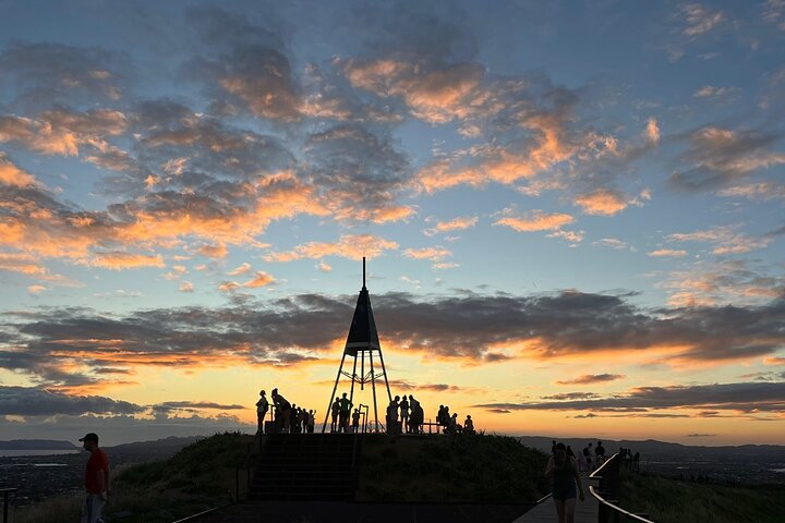 2025 Award Winning: Auckland City Highlights Half Day Tour