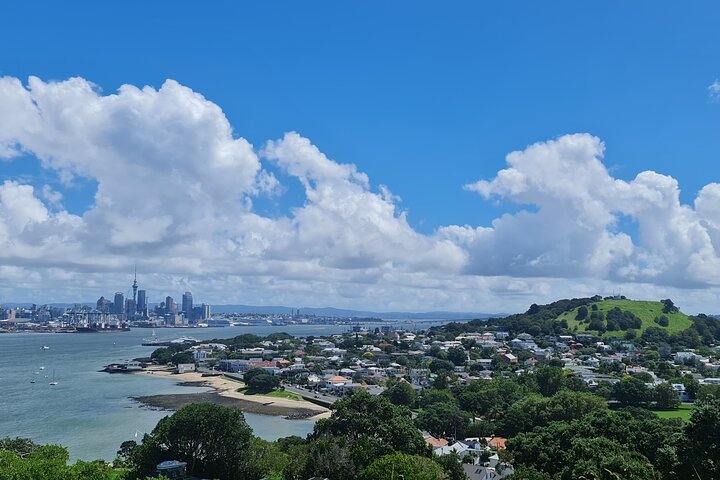 2025 Award Winning: Auckland City Highlights Half Day Tour