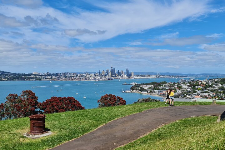 2025 Award Winning: Auckland City Highlights Half Day Tour