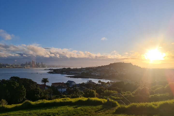 2025 Award Winning: Auckland City Highlights Half Day Tour
