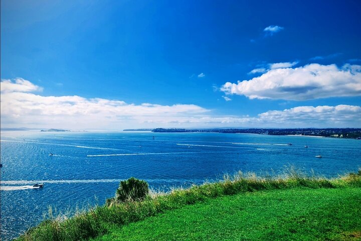 2025 Award Winning: Auckland City Highlights Half Day Tour