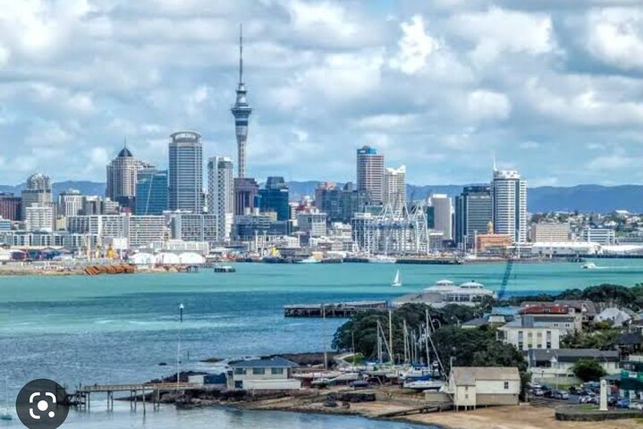 2025 Award Winning: Auckland City Highlights Half Day Tour
