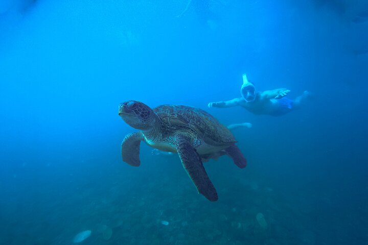 Snorkelling Trip 5 Island Tour Around Koh Tao and Koh Nang yuan