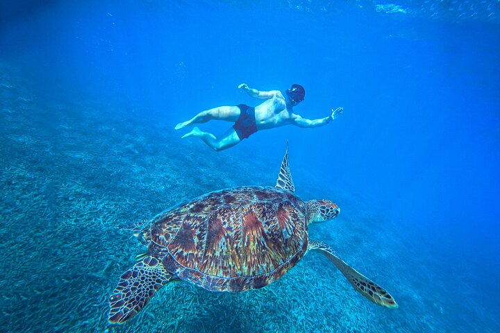 Snorkelling Trip 5 Island Tour Around Koh Tao and Koh Nang yuan
