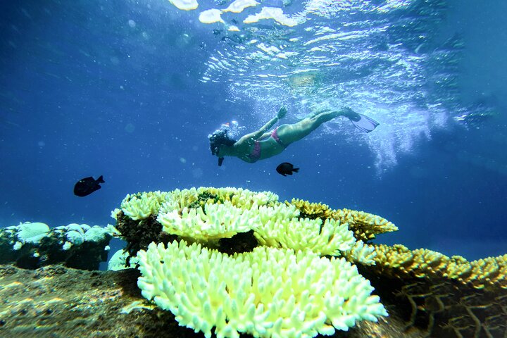 Snorkelling Trip 5 Island Tour Around Koh Tao and Koh Nang yuan