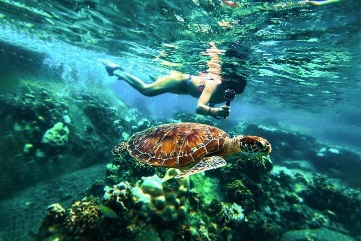 Snorkelling Trip 5 Island Tour Around Koh Tao and Koh Nang yuan