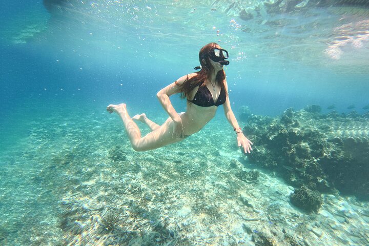 Snorkelling Trip 5 Island Tour Around Koh Tao and Koh Nang yuan