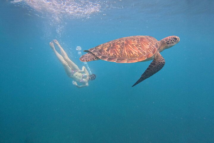 Snorkelling Trip 5 Island Tour Around Koh Tao and Koh Nang yuan