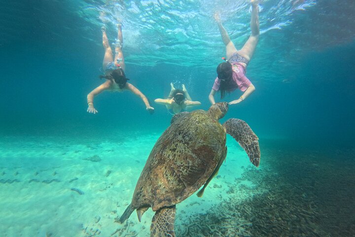Snorkelling Trip 5 Island Tour Around Koh Tao and Koh Nang yuan