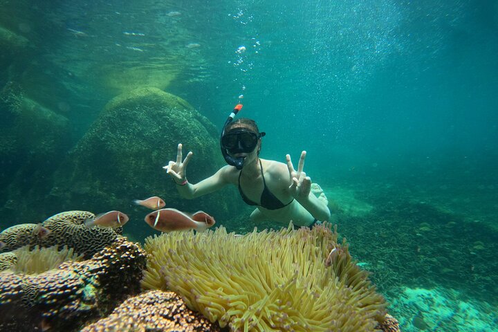 Snorkelling Trip 5 Island Tour Around Koh Tao and Koh Nang yuan