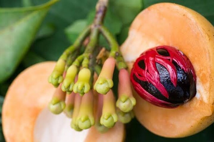 Zanzibar Stone Town, Prison Island & Spice Farm Tour
