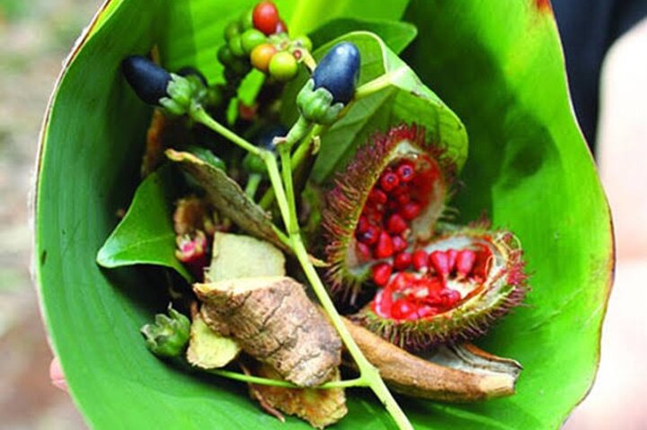 Zanzibar Stone Town, Prison Island & Spice Farm Tour