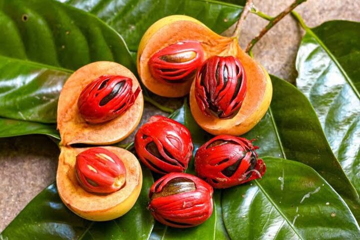 Zanzibar Stone Town, Prison Island & Spice Farm Tour