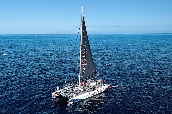 Whale watching & listening Eco-Catamaran Tour with Snacks &Drinks