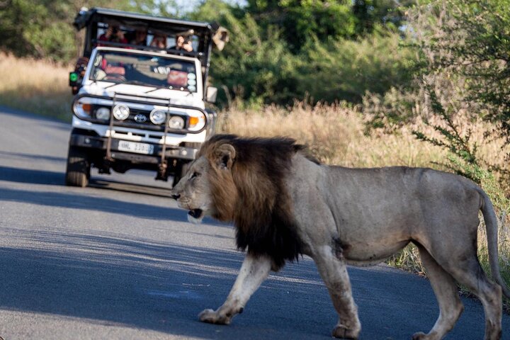 Hluhluwe-Imfolozi Park Half-day Big Five Safari Adventure