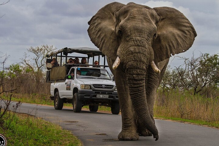 Hluhluwe-Imfolozi Park Half-day Big Five Safari Adventure