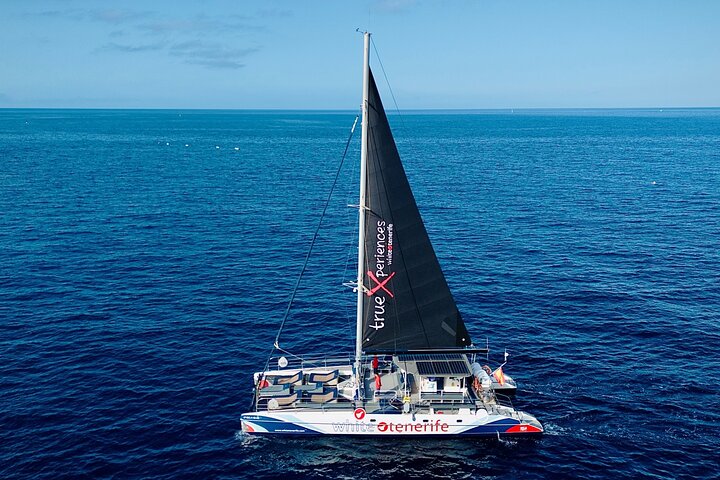 Whale watching & listening Eco-Catamaran Tour with Snacks &Drinks