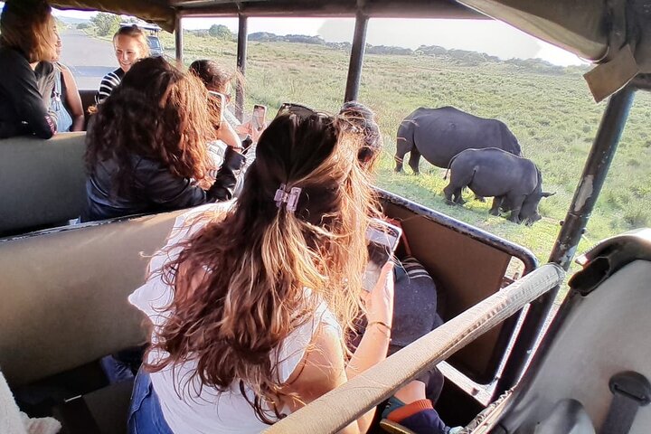 Hluhluwe-Imfolozi Park Half-day Big Five Safari Adventure