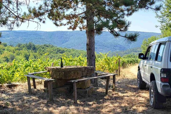 Private Slovenia's Coast Wine and Food Tasting