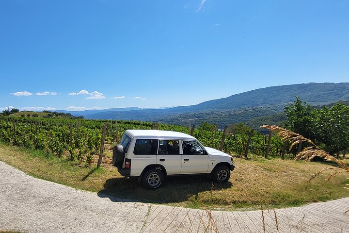 Private Slovenia's Coast Wine and Food Tasting