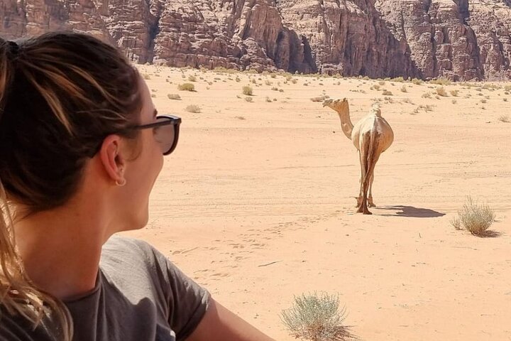 Petra and Wadi Rum Private Guided Tour