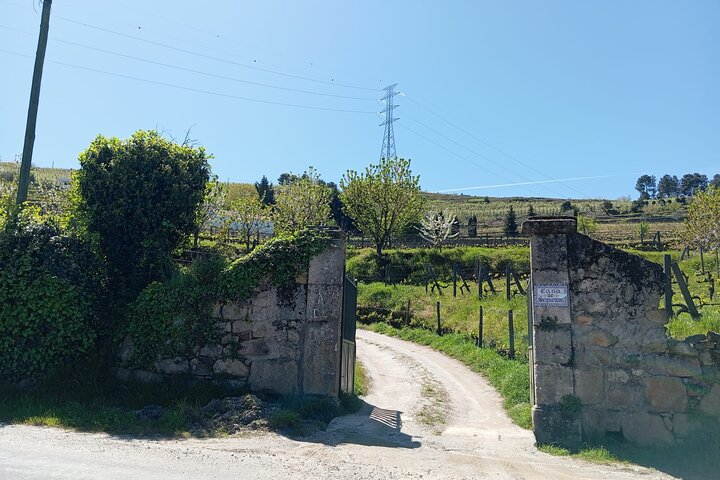 Guided Tasting: The Wines of the Douro Valley