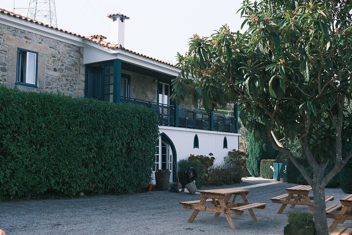 Guided Tasting: The Wines of the Douro Valley