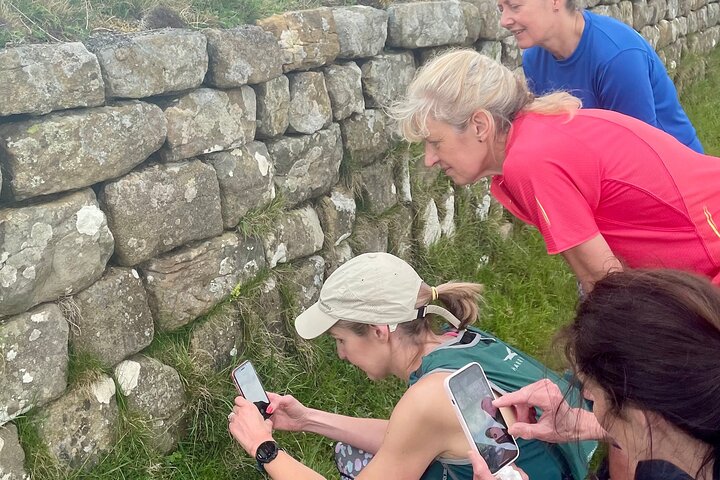 Hadrian's Wall Highlights: Scenic Guided Walk with Local Guide