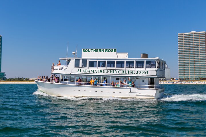 Dolphin Cruise in Orange Beach Alabama