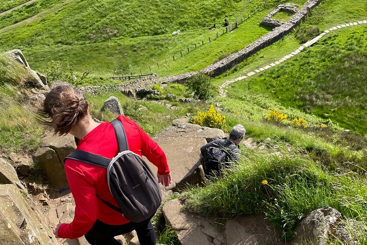 Hadrian's Wall Highlights: Scenic Guided Walk with Local Guide