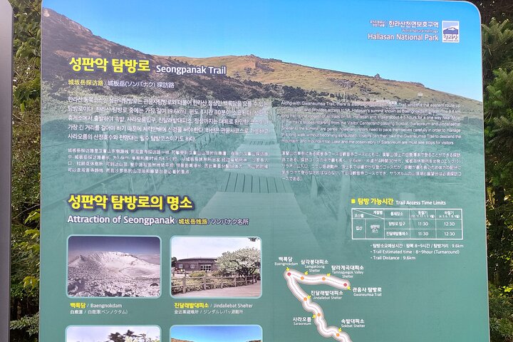 Private Self Mountain Hallasan Hiking Course in Jeju Island