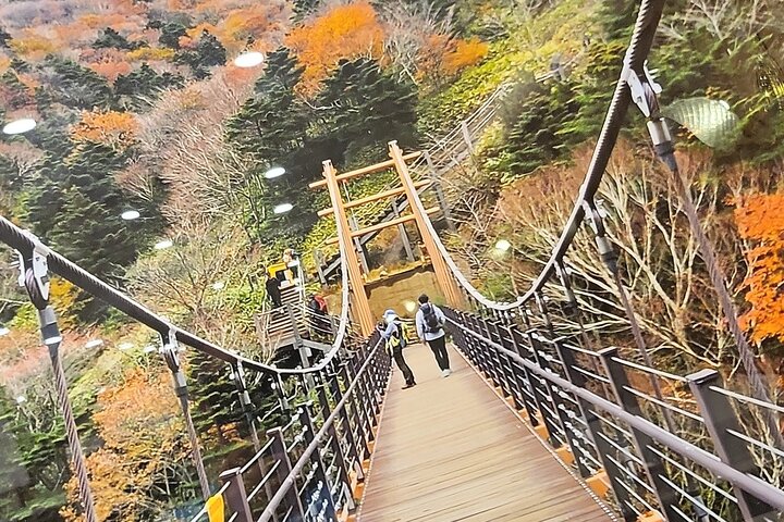Private Self Mountain Hallasan Hiking Course in Jeju Island
