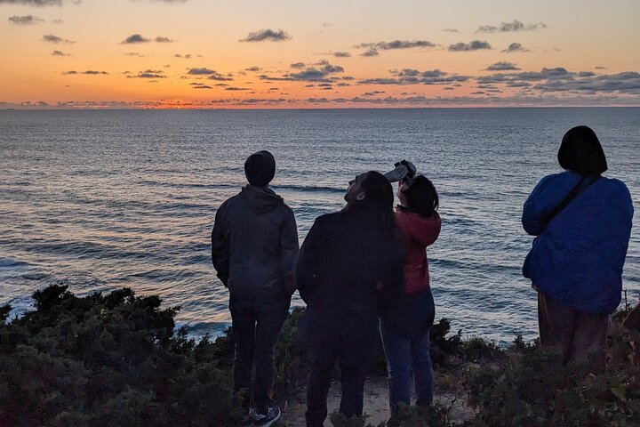 Private Sintra Tour Palaces and Coast by Vintage Car or Jeep