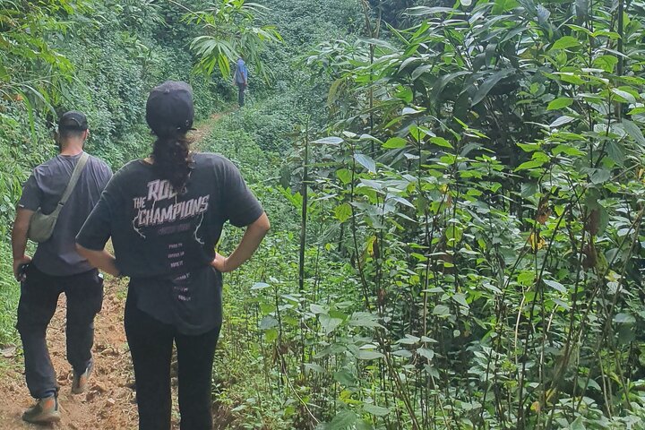 Dien Bien Phu War Trails 1 Day Trek