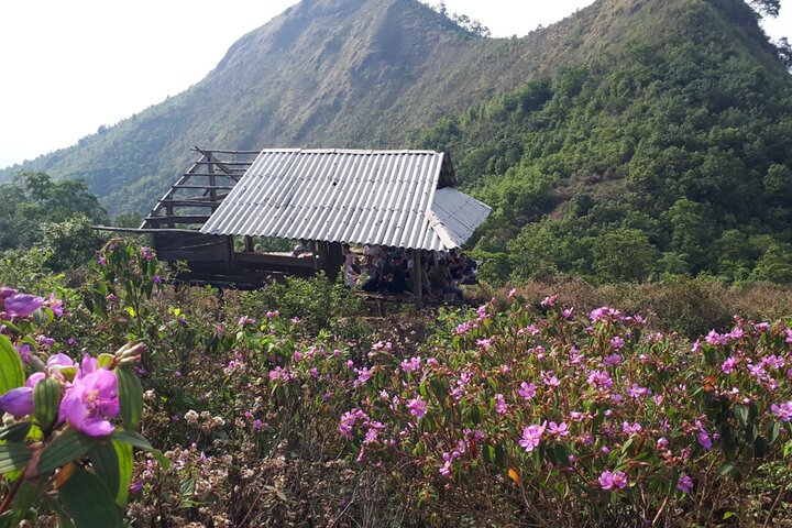 Dien Bien Phu War Trails 1 Day Trek