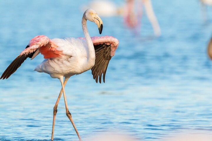 Sandwich Harbour 4x4 Guided Tour - Unforgettable Adventure