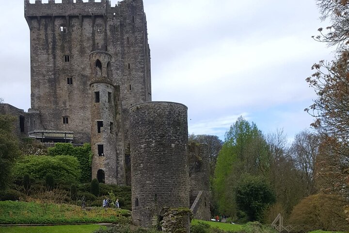 Easy Access Blarney Stone and Castle Gardens Tour