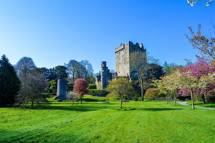 Easy Access Blarney Stone and Castle Gardens Tour