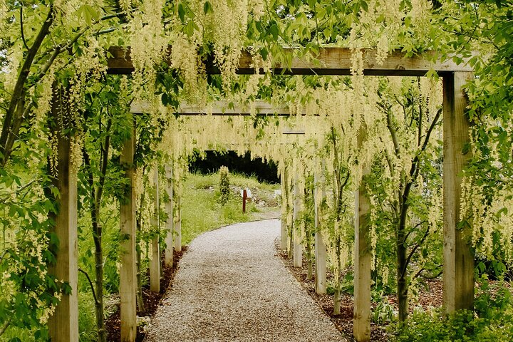 Easy Access Blarney Stone and Castle Gardens Tour