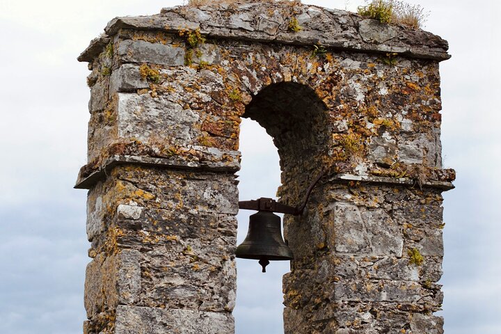 Easy Access Blarney Stone and Castle Gardens Tour
