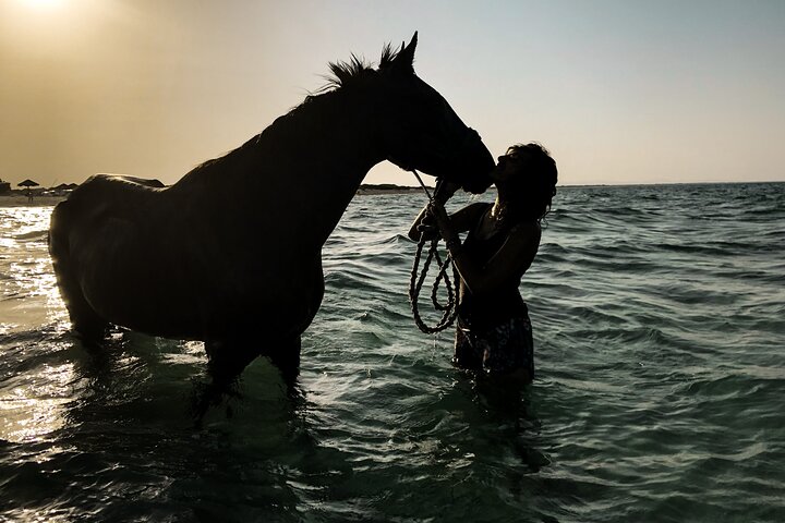 Horseback riding with private transfer
