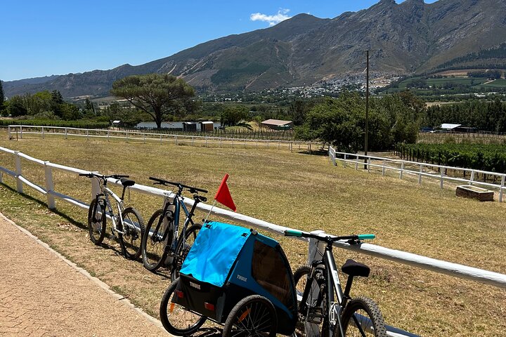 Franschhoek E-bike Ride & Wine w.Lunch