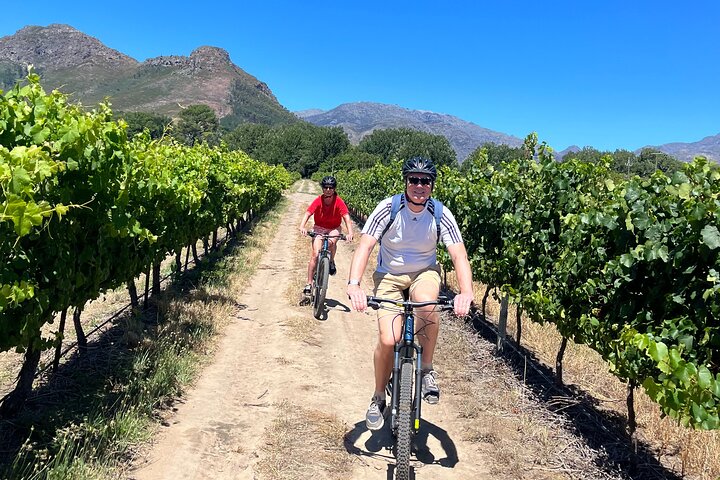 Franschhoek E-bike Ride & Wine w.Lunch